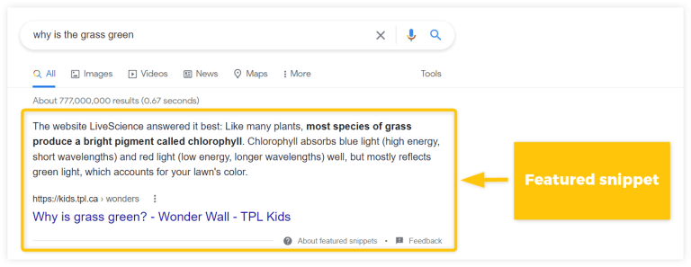 Featured Snippet cosa sono (1)